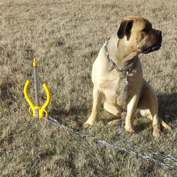 GOOD N USEFUL: Best dog animal tie out - Swivels - Dog stake - tether