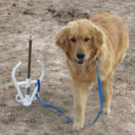 all-tie-pet-anchor-animal-dog-tie-out-insure-safety-portable-ground-anchoring-device